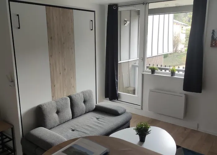 Studio Avec Balcon Et Vue Sur Le Sancy